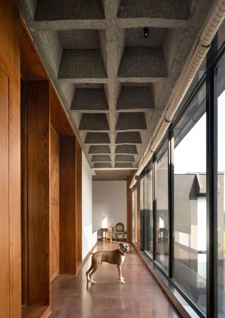 This Vrindavan farmhouse pairs raw elegance with spiritual stillness—and a deep love for animals