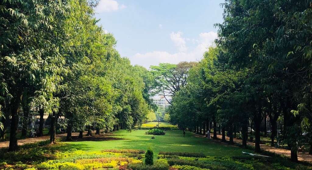A green oasis in the heart of Bengaluru, Cubbon Park blends nature, history, and city life in perfect harmony.