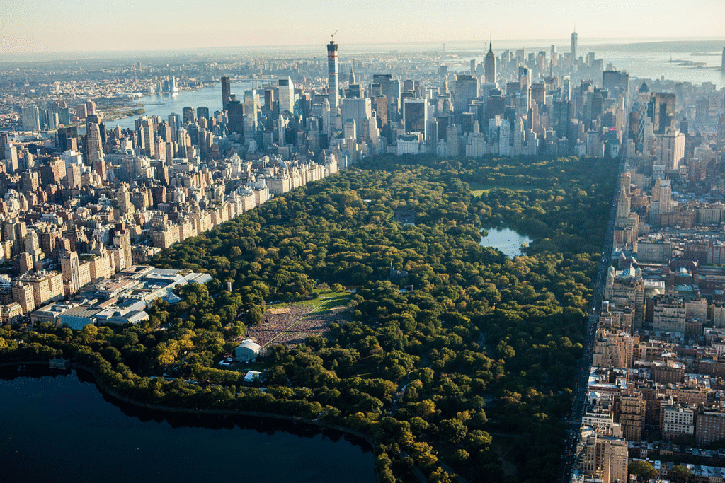 Aerial view of Central Park in New York City, with skyscrapers surrounding the vast green park.