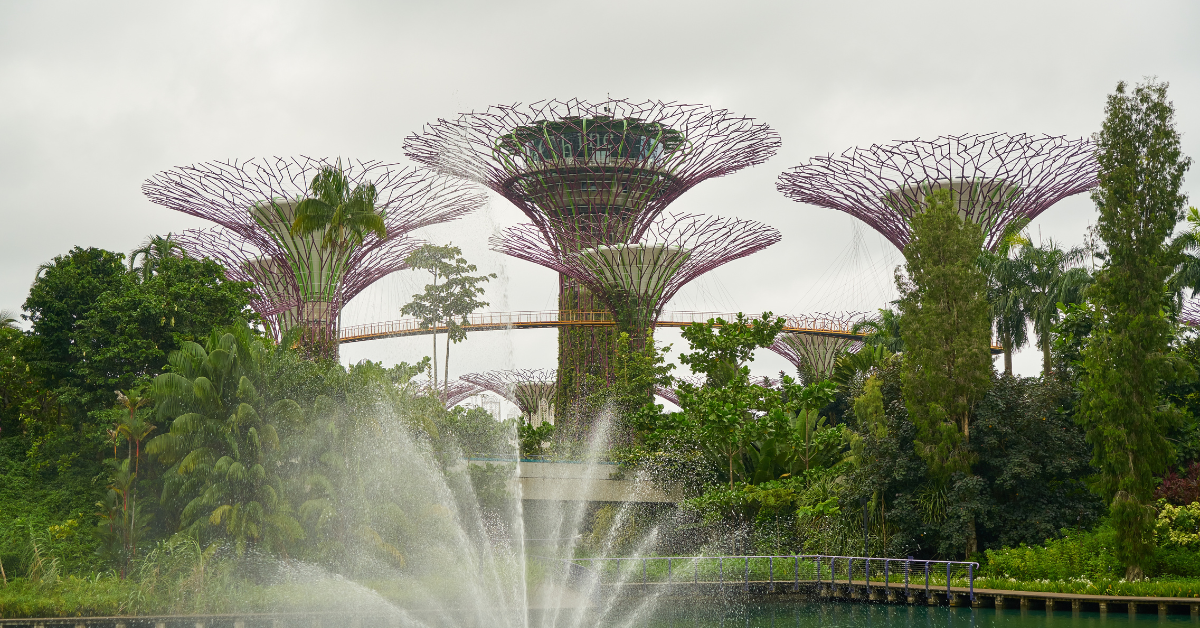 What Is Biophilic Design? Principles, Benefits, and Application in Everyday Spaces