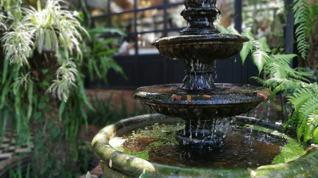 7 Powerful Biophilic Interior Design Ideas That Go Beyond Indoor Plants